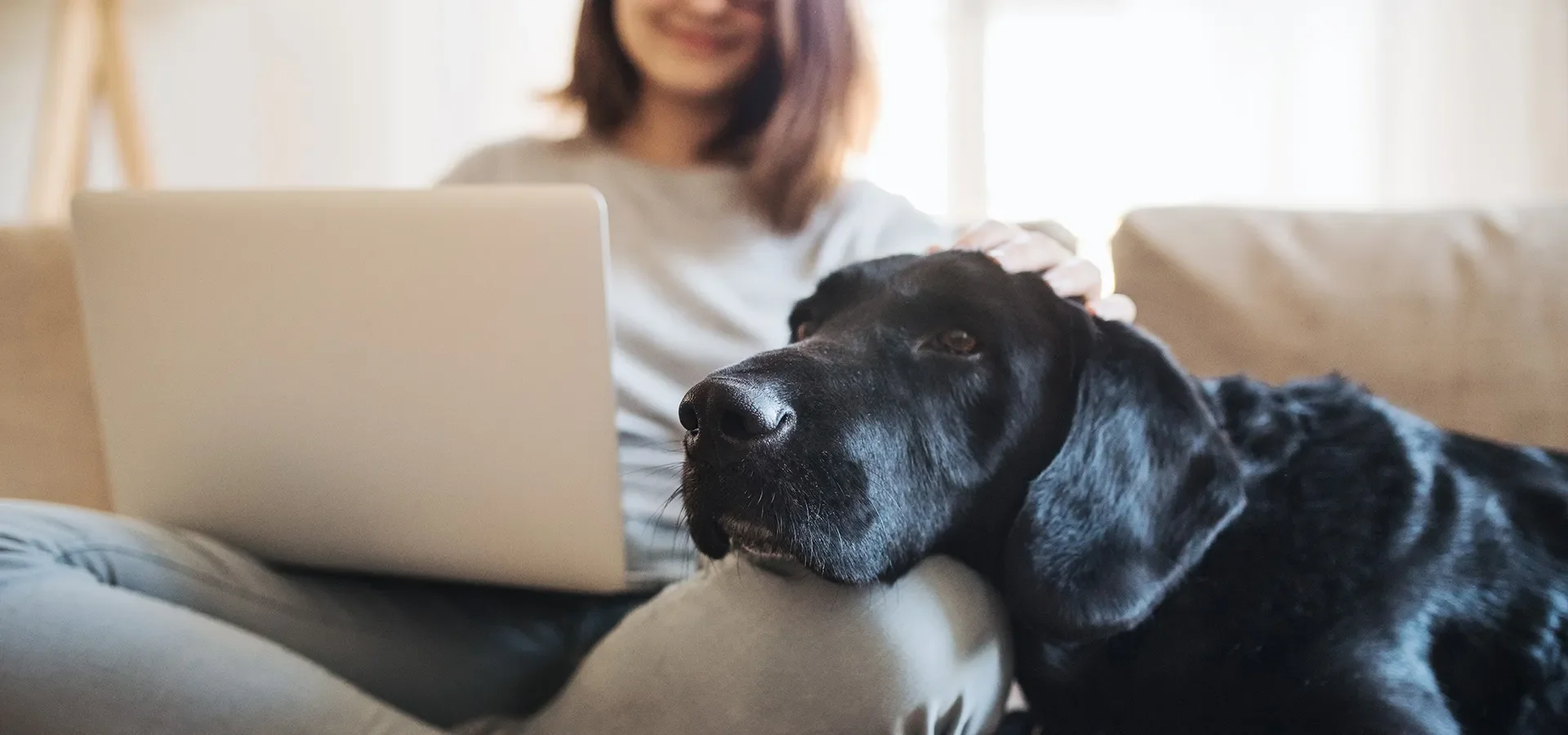 603-offerte_header.webp 603-offerte_header.webp