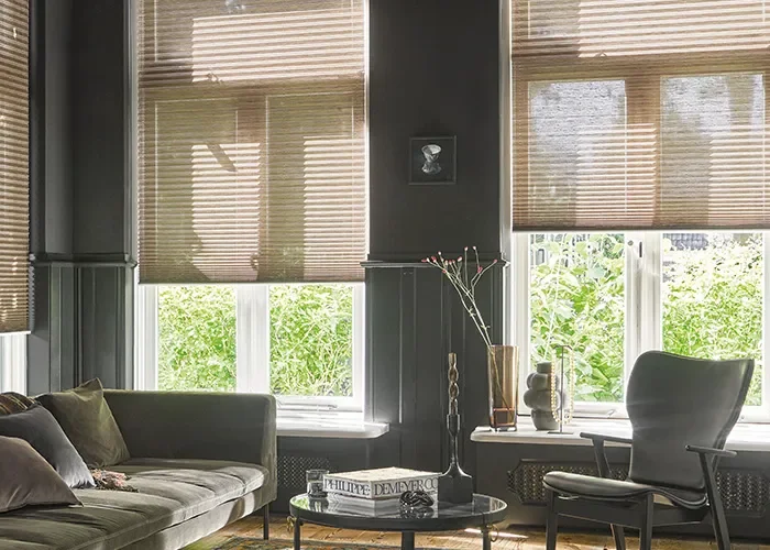 raamdecoratie_plissegordijnen_sfeer700_2 raamdecoratie_plissegordijnen_sfeer700_2